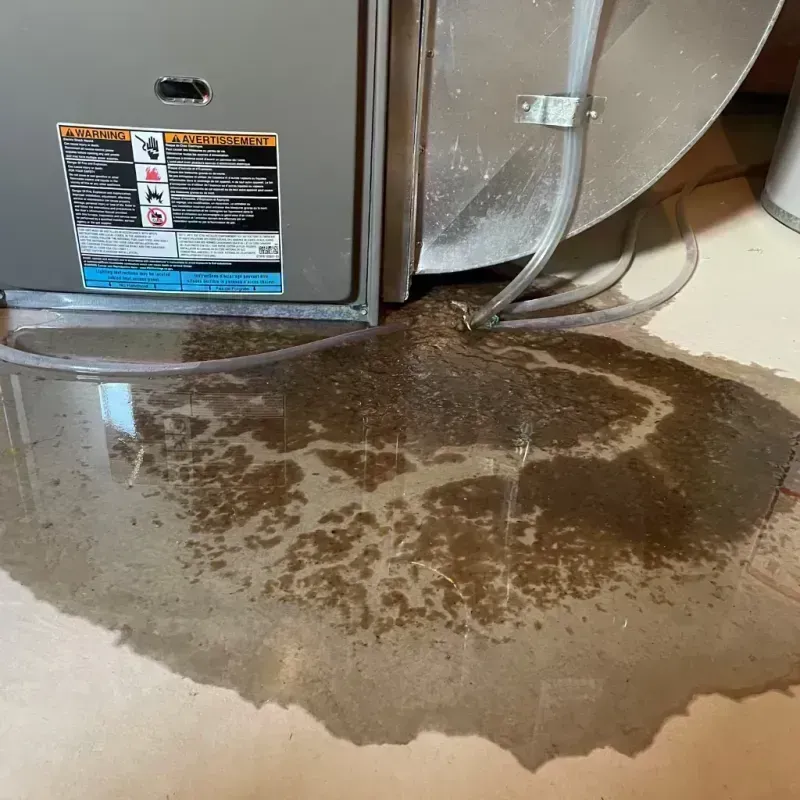 Appliance Leak Cleanup in Bunker Hill, IL